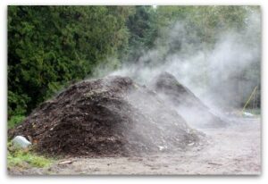 compost-steaming-pile.jpg